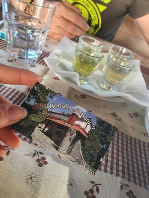 And we got a gift of shoots for good bye 👋 at Konoba Bani in Pazin