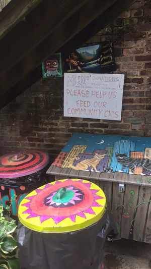 stray cat donation bin outside at Third Street Stuff and Coffee in Lexington