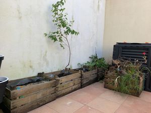 The courtyard at Botellini in Caldas Da Rainha