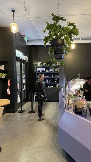 Nice presentation   at Ice Queen in Portland