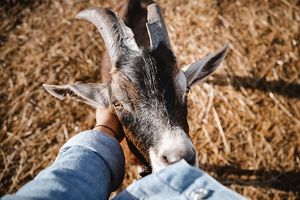  at Rifugio La Tana Del Bianconiglio in Castiglione Dorcia