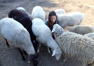  at Rifugio La Tana Del Bianconiglio in Castiglione Dorcia