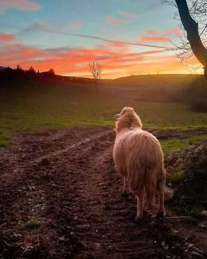  at Rifugio La Tana Del Bianconiglio in Castiglione Dorcia