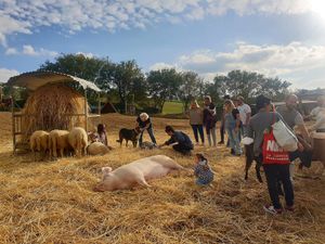  at Rifugio La Tana Del Bianconiglio in Castiglione Dorcia