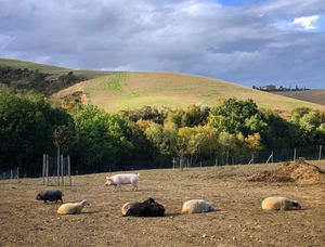  at Rifugio La Tana Del Bianconiglio in Castiglione Dorcia