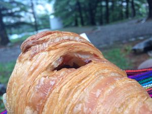Nel parco   at Charlotte Croissanterie in Trieste