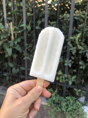Organic Lemon Popsicle (2,50€)  at iVegan in Rome