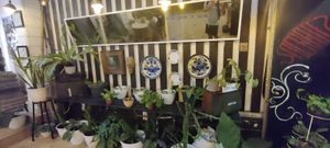 Deco at Socrates in Medan