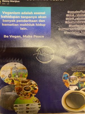  at Socrates in Medan