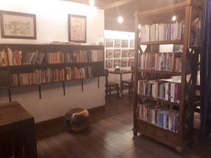 Room 1 at Socrates in Medan