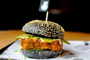 Freeloada at Freeloada  in Brighton