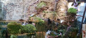 Deco at Naya Studio in Paris