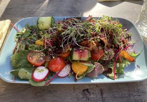 Seitan salad  at Vorstid & Vahvlid in Parnu