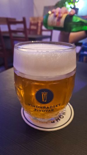  at Shromaždiště in Prague