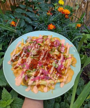 Loaded Fries at Shromaždiště in Prague