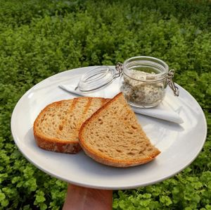 Toast with fish(less) spread at Shromaždiště in Prague