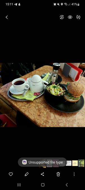 Veganer Burger mit Rotebeete-Puffer, vegane Majo, Tomate, Gurke, Salat, Zwiebeln (eigentlich mit Kartoffelspalten) für mich alternativ mit kleinem Salat at Amadeo in Bad Reichenhall