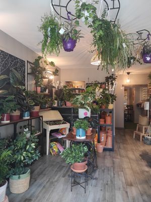 Inside at Symbiozh in Rennes