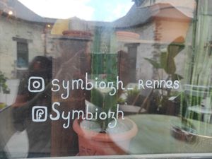 Social at Symbiozh in Rennes