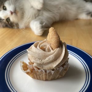 Snickerdoodle cupcake 🐱 at Peace Love Coffee in St Charles