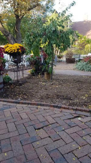 Outside at Peace Love Coffee in St Charles