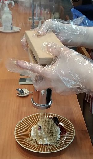 vegan GF ice-cream & chestnut  Mont blanc, Hand Squeezing Experience at Naramachi Vegan Nabi in Nara