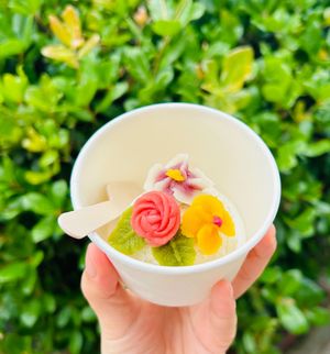 Ice cream to go. Vegan, gluten-free and nut-free. at Naramachi Vegan Nabi in Nara