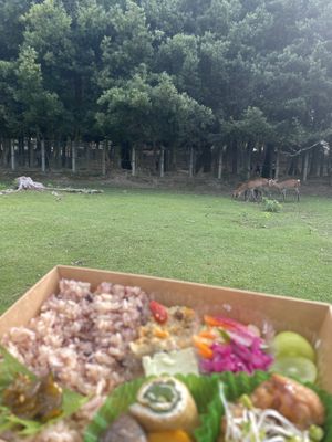   at Naramachi Vegan Nabi in Nara