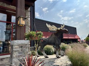 Tons of vegan options.! Great place.   at Moose Winooski's in Kitchener