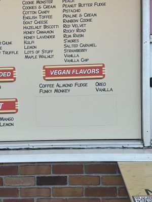 Vegan flavors  at Magic Fountain in Mattituck