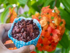 Vegan Chocolate Chips Cupcake
Instagram @zehbeehoon at Yes Natural Bakery in East Singapore