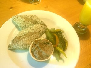 Starter at Puchaczowka in Sienna