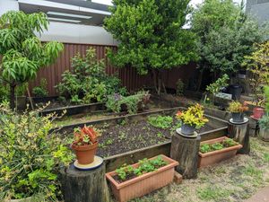  at The Shack in Monterey