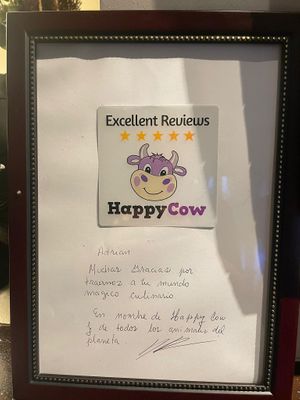 The Recognition from Happy Cow Ambassador ,Sacha Bernasconi. Honor. at Go Vegan by Adrian Muser in Altea