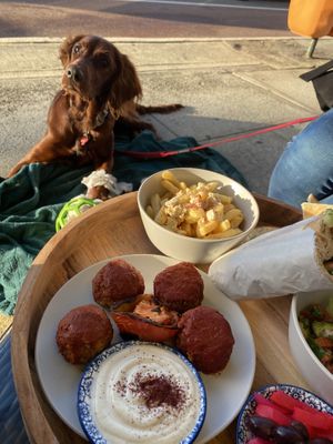 A welcomed companion  at Charcoal and Chai in Como