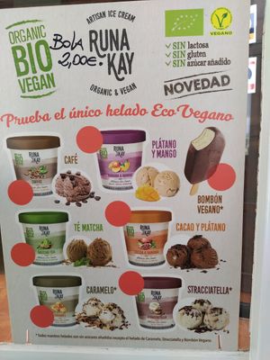 All vegan icecream at Manumaga in Mojacar