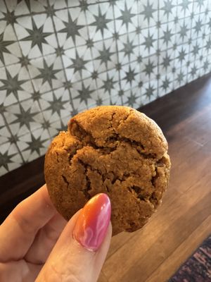 Great peanut butter cookies too  at Vegetation Plant Food in Lakeland