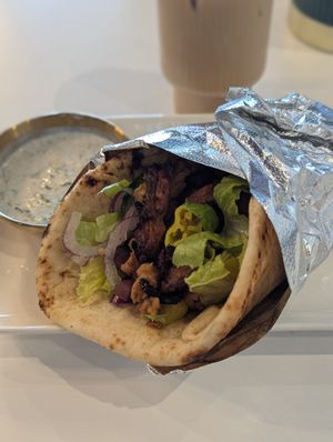 Gyro at Vegetation Plant Food in Lakeland