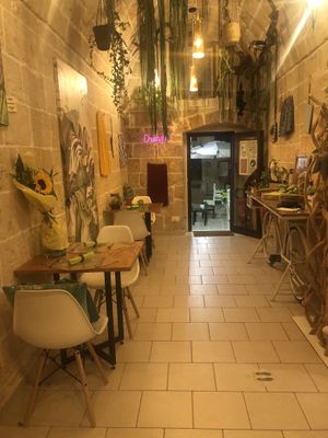 Bar from the inside 😍 at Jungle Bar & Bistrot in Monopoli