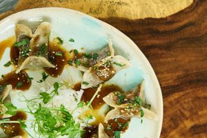 Gyosas at Tierra in Tulum