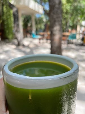Green juice at Tierra in Tulum