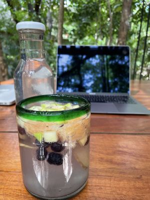 Tonic water with fruits. Super refreshing .  at Tierra in Tulum