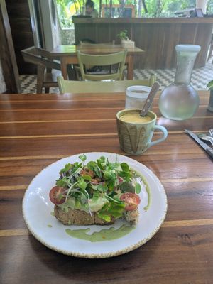 Hummus toast & golden milk 🥪 🥛 at Tierra in Tulum