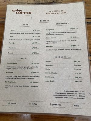 Drinks menu at Tierra in Tulum