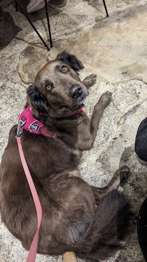  at Box & Barber Coffeehouse in Newquay