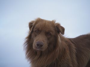 the Boss up here at Kellerjochhütte in Schwaz