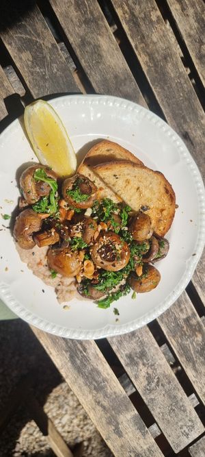  at Pasture & Co in Currumbin Valley