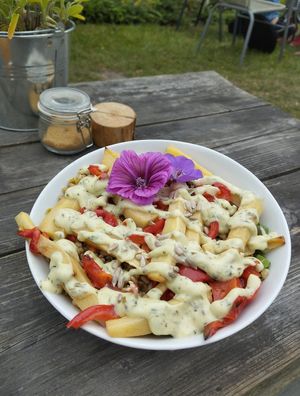 Salad at Theetuin Het Kaslokaal in Oostkapelle