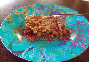 Oat and Cranberry Flapjack at Mo's Diner in Ir-rabat Ghawdex