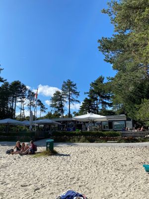 De Berkenplas at De Berkenplas in Schiermonnikoog